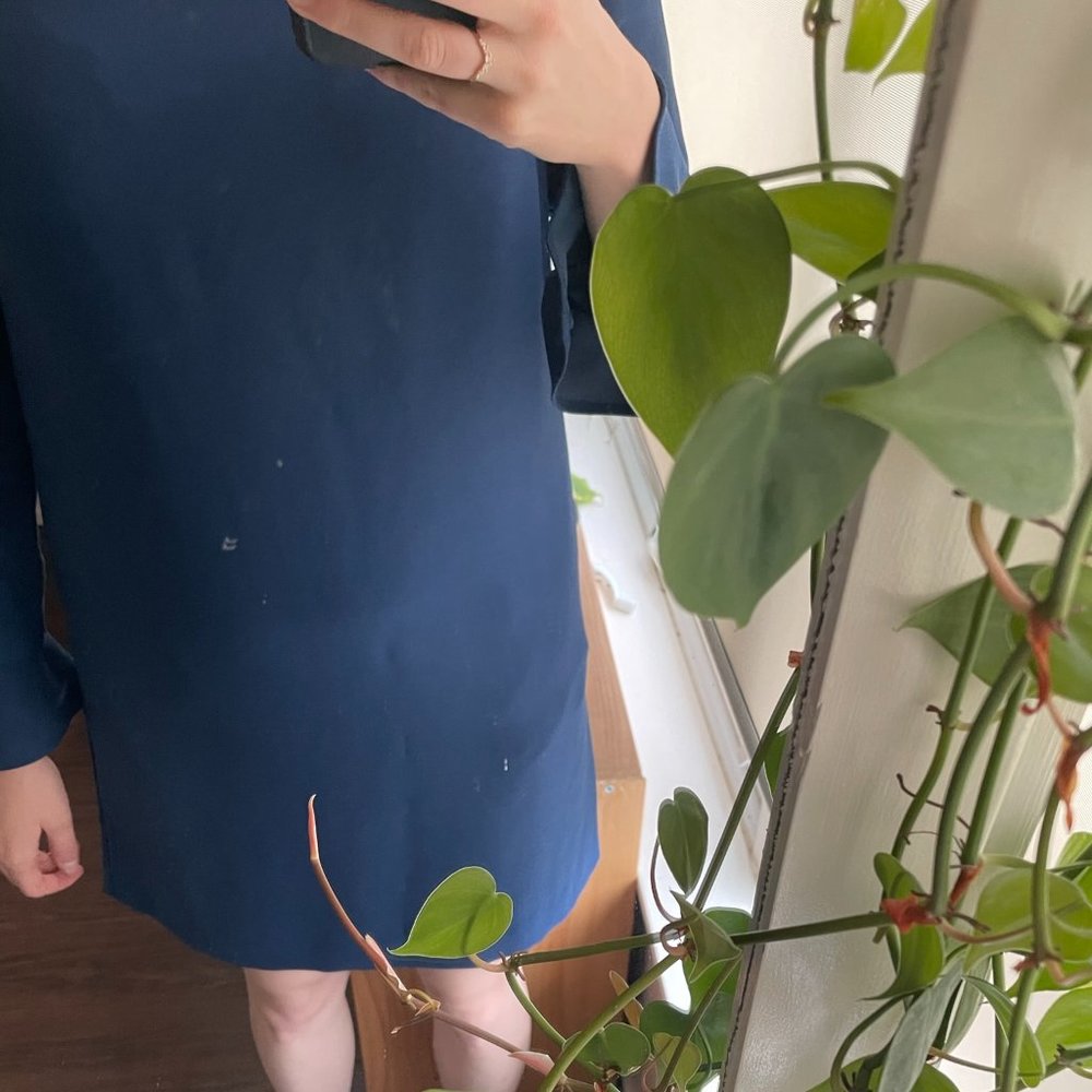 Banana Republic navy shift dress